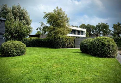 Tuin gemaakt door Herweijer Hoveniers op de Herenweg