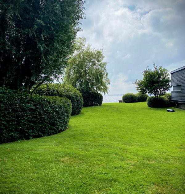 Tuin gemaakt door Herweijer Hoveniers op de Herenweg