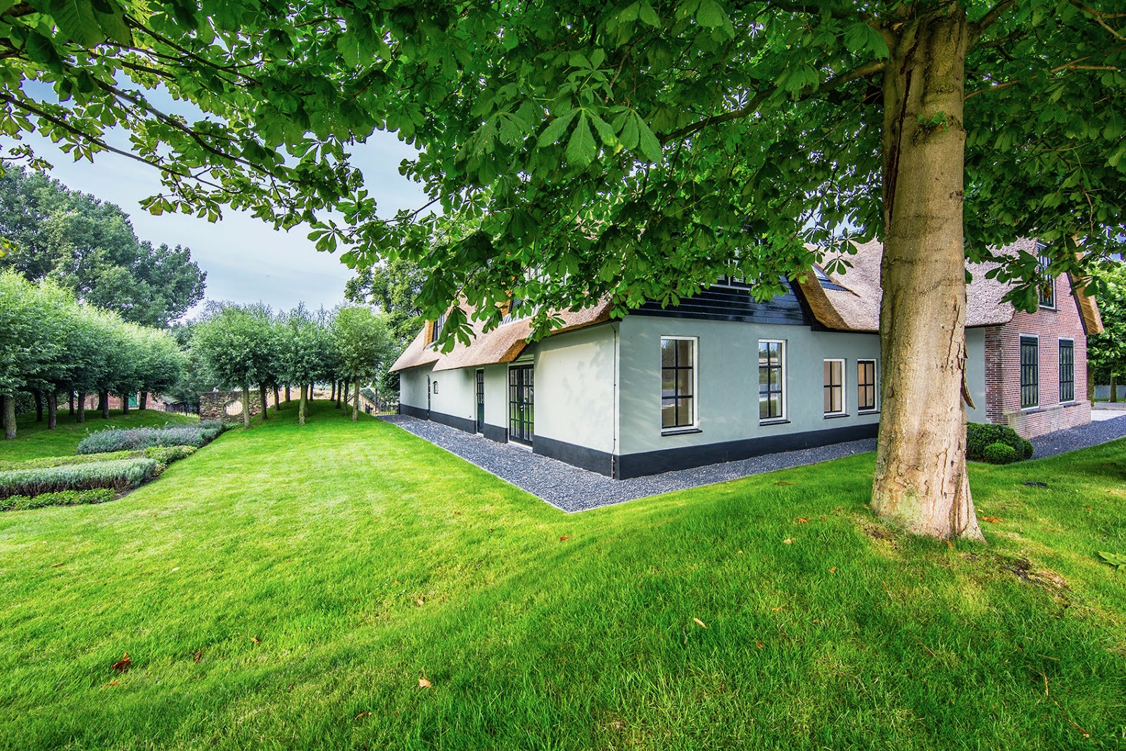 Tuin Vriezekoop achter