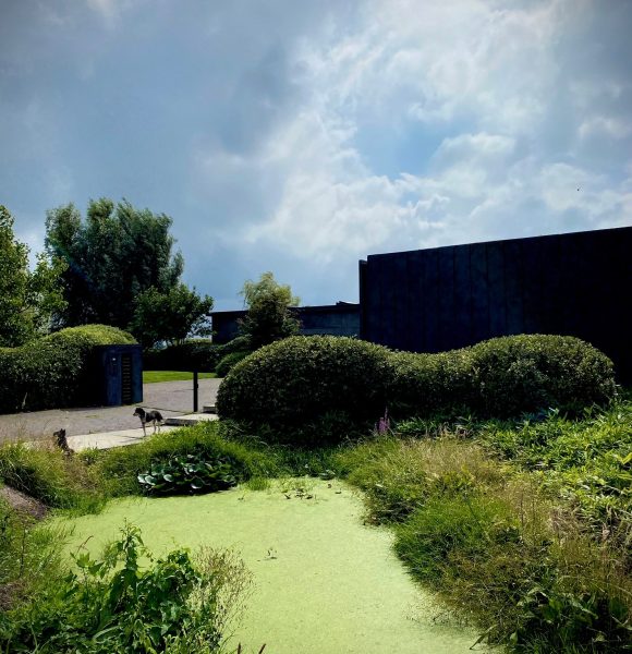 Tuin gemaakt door Herweijer Hoveniers op de Herenweg