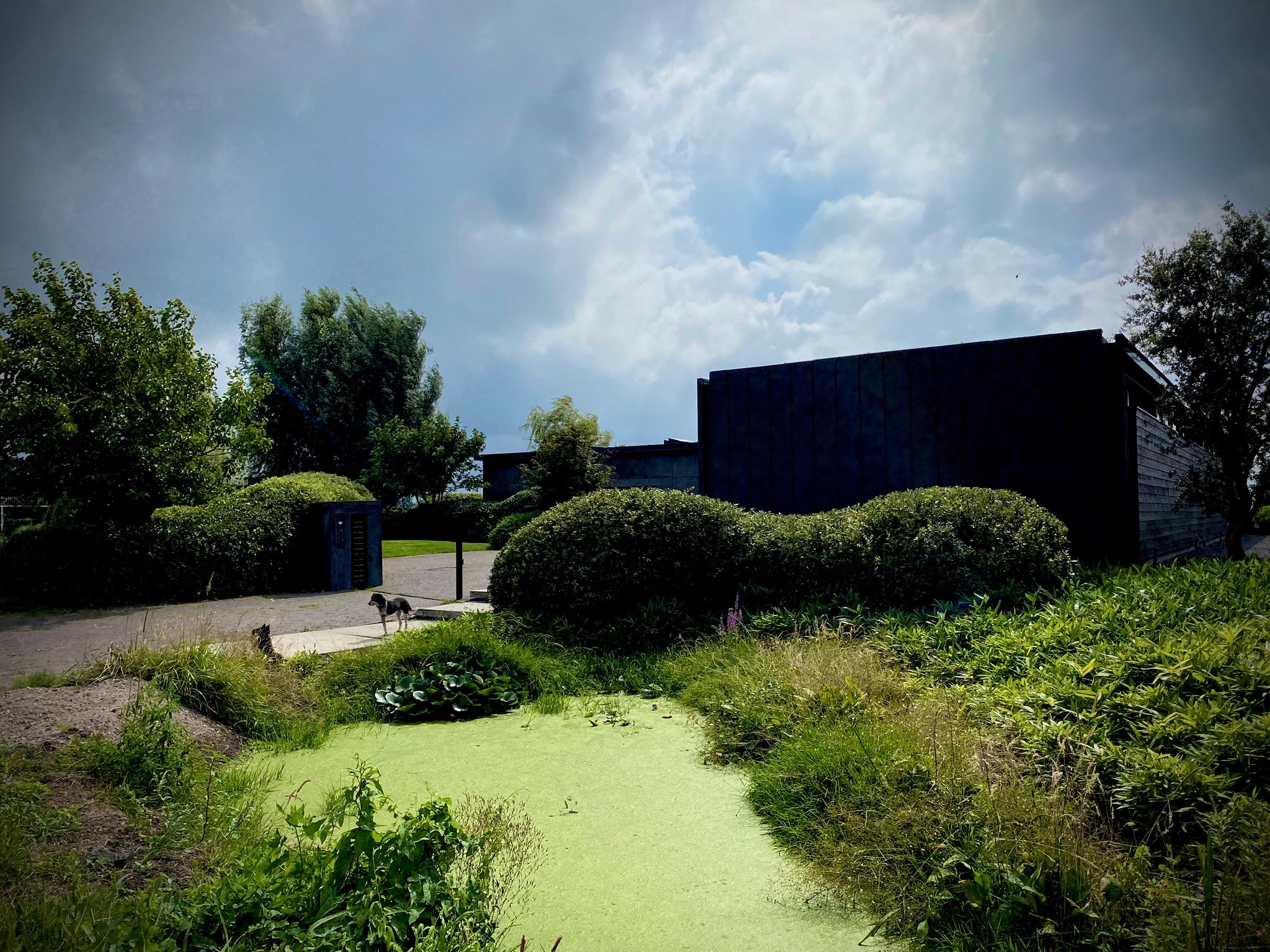 Tuin gemaakt door Herweijer Hoveniers op de Herenweg